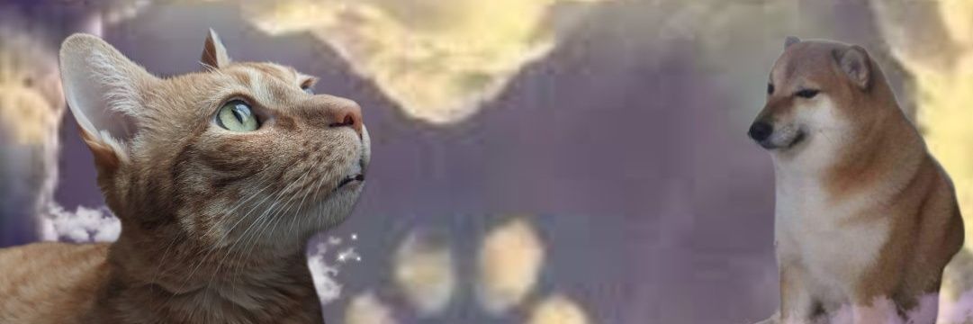 Karina Fellina⚡🌈💙💛 banner