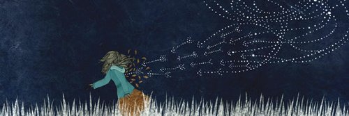 starryechoes's profile banner image