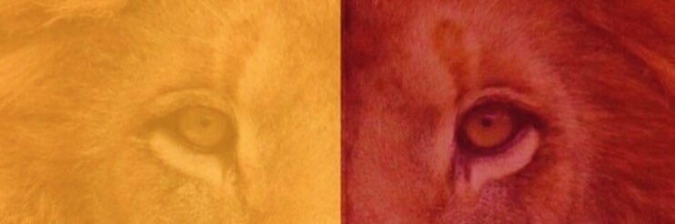 05YD93's profile banner image