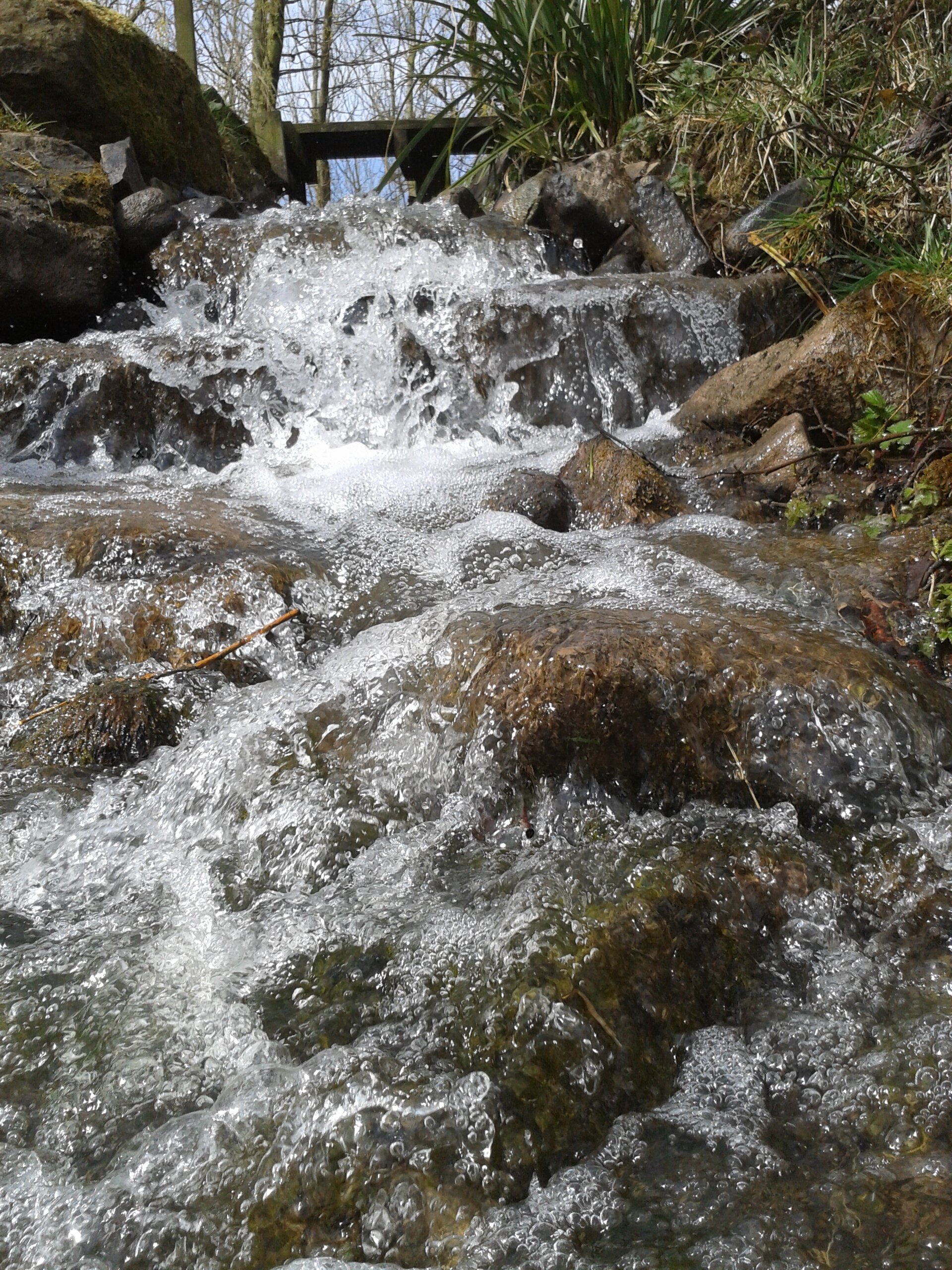 MereBeckFishing's profile banner image
