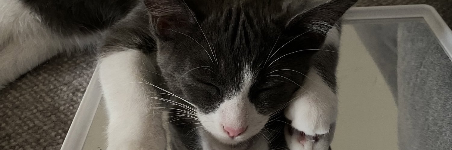 chxbgn's profile banner image