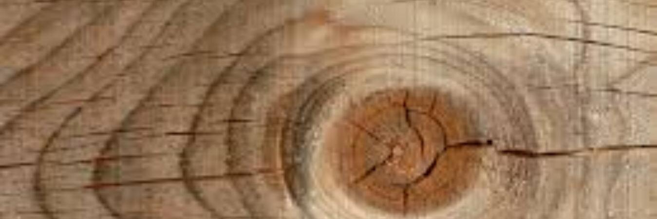 EricFloresM's profile banner image