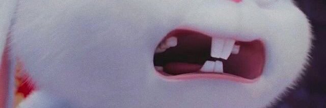 🐣🤍 banner