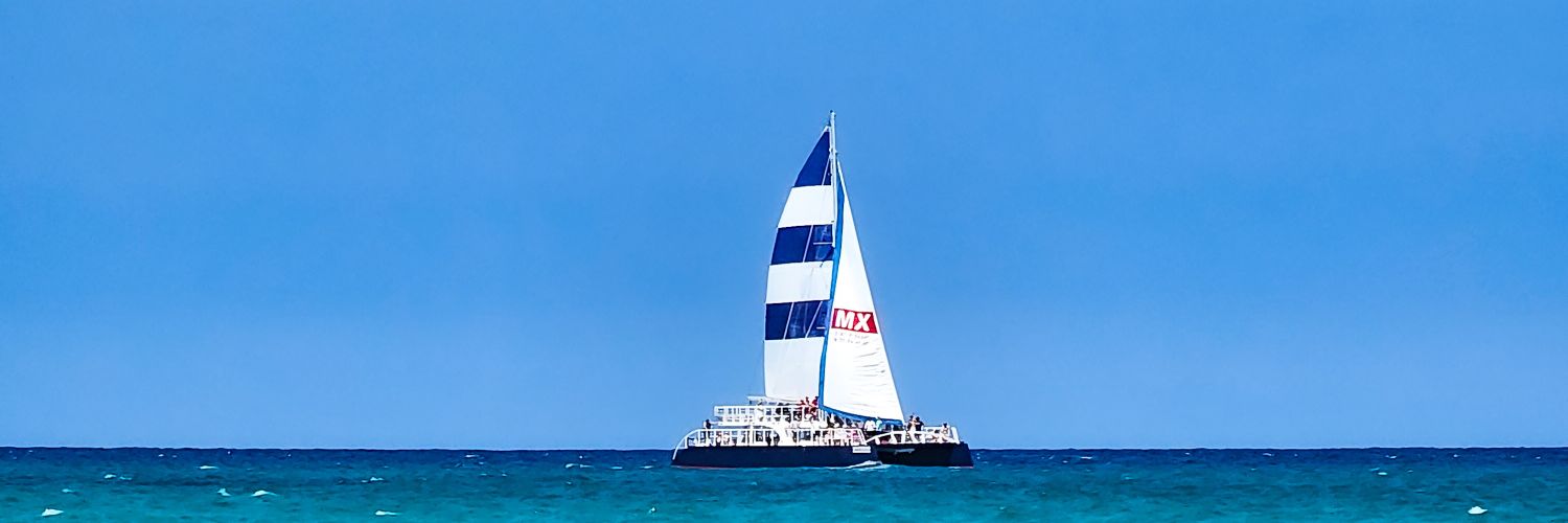 Celi's profile banner image