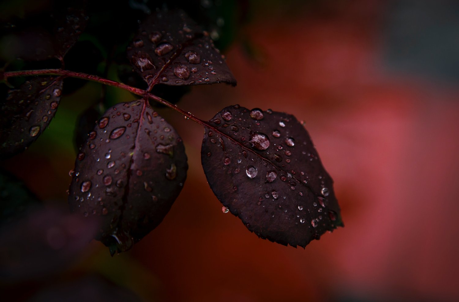 Itsmearia76's profile banner image