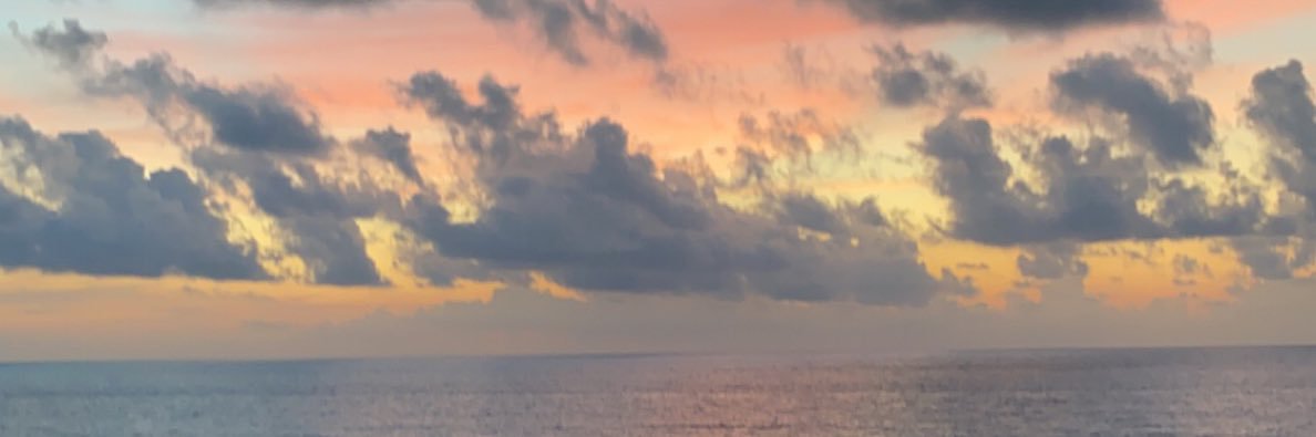 Lindsey_Opitz's profile banner image