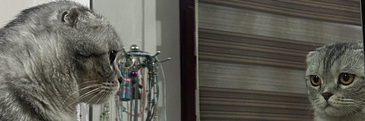 egkcny's profile banner image