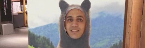 cestledz's profile banner image