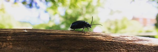 royjamesmoss Profile Banner