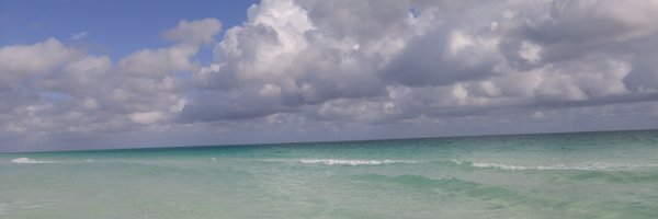 octopus58 Profile Banner