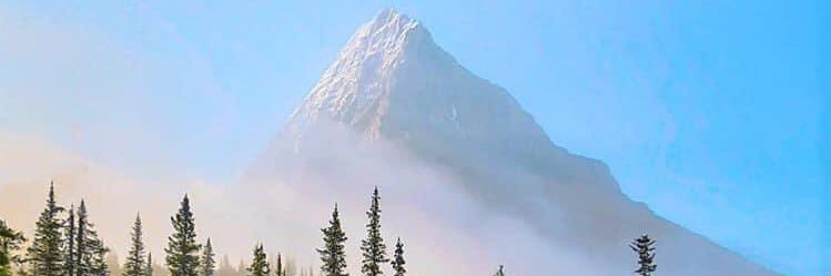 Andy_Dow_1981's profile banner image