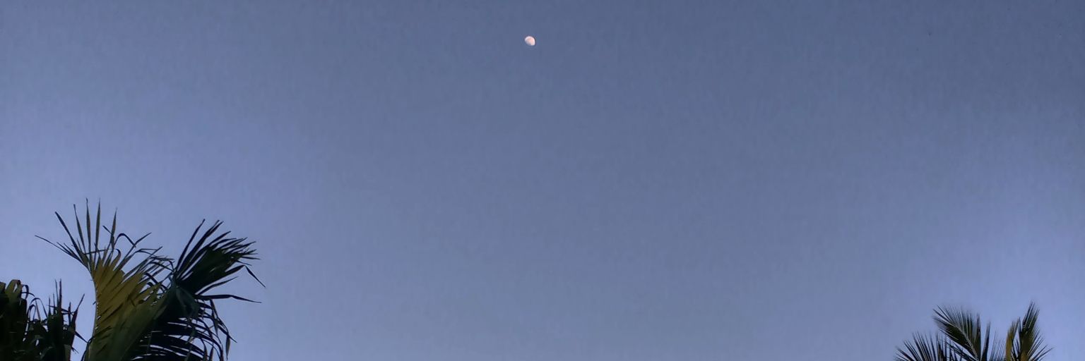 Duvanuellar's profile banner image