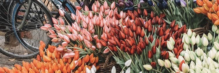 nany441177's profile banner image