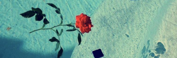 doitfor_jayy's profile banner image