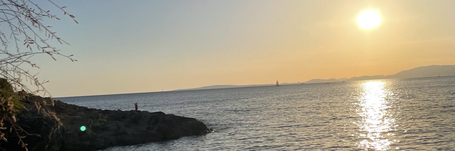 Gregousee's profile banner image