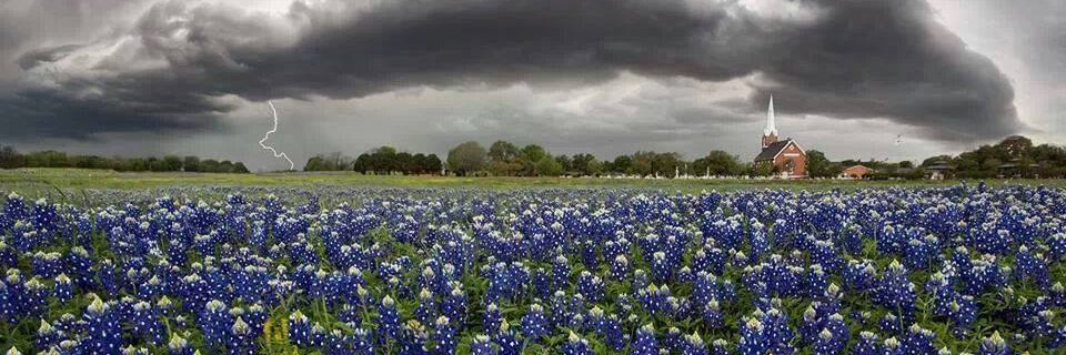 Marsha Little Gentry banner