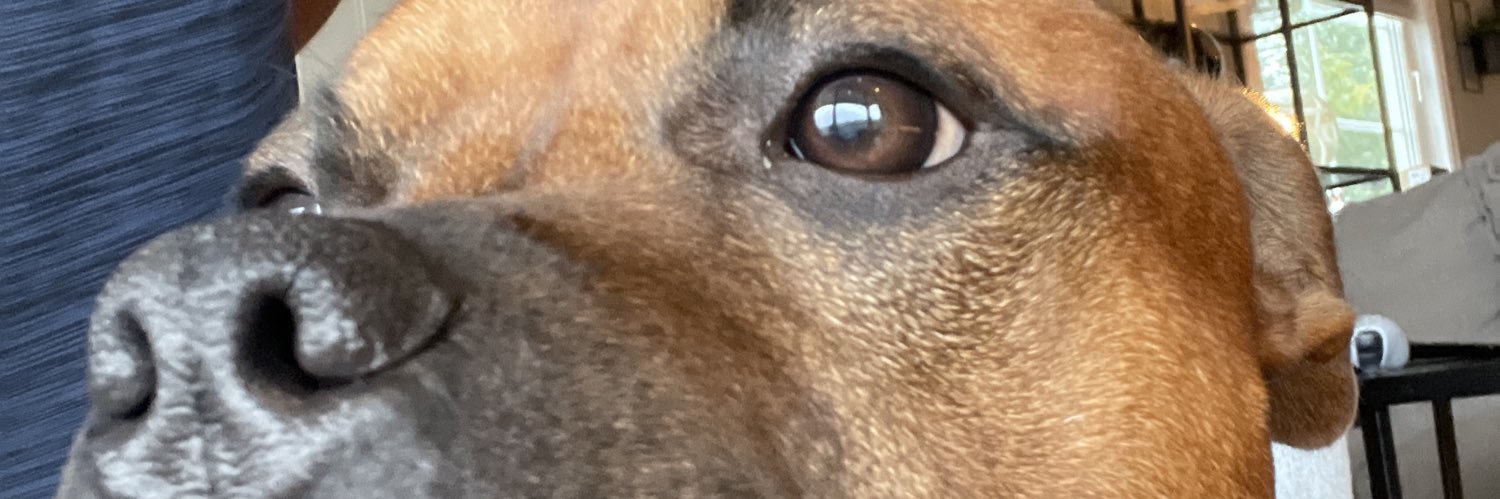 peidskrem's profile banner image