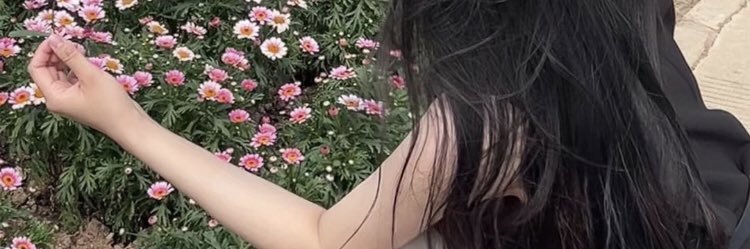 aramodedqx's profile banner image