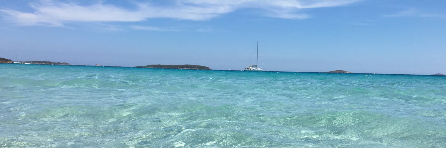 anne-marie thiollet banner