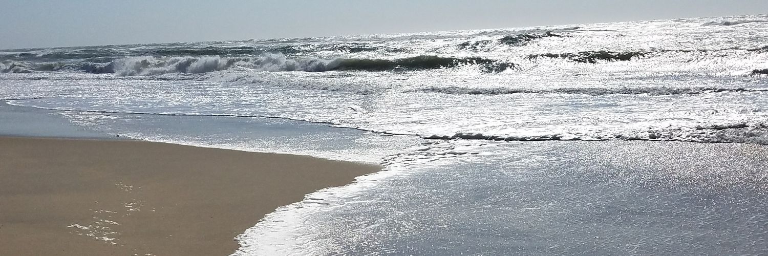 PDKWrites's profile banner image