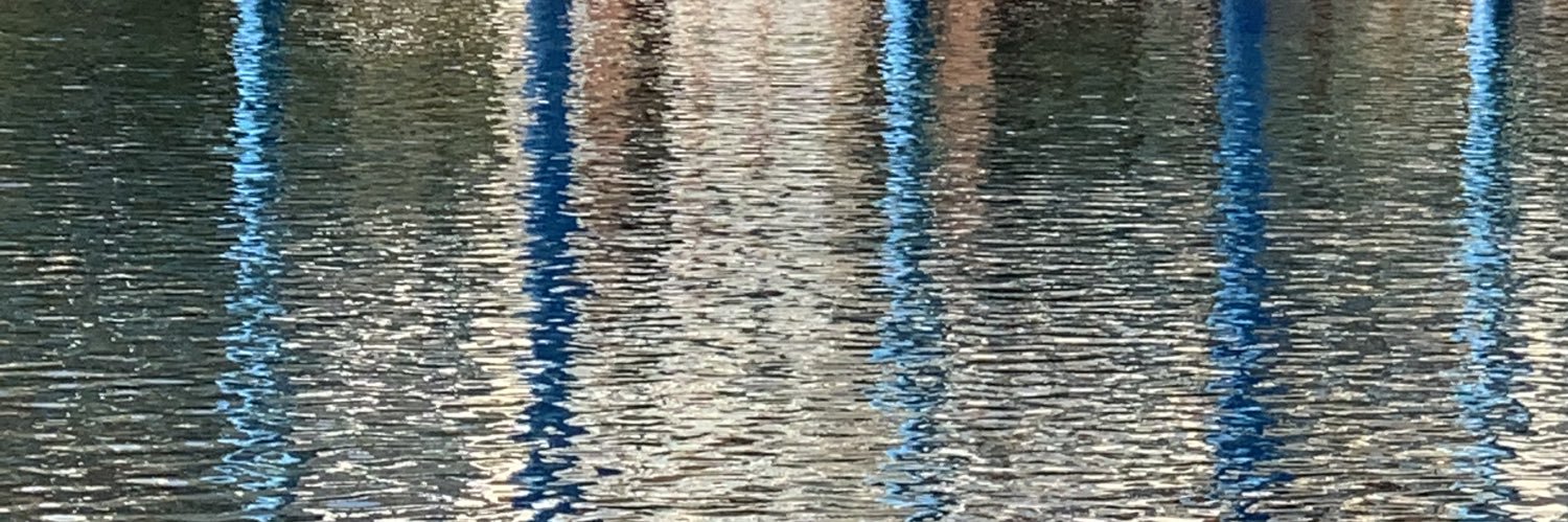manolyaay's profile banner image