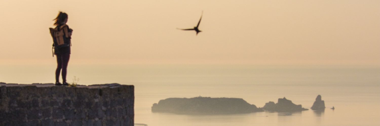 ViajandoNuestraVida banner