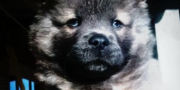 vemzanoni's profile banner image