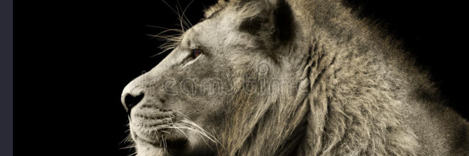 ADS5681's profile banner image