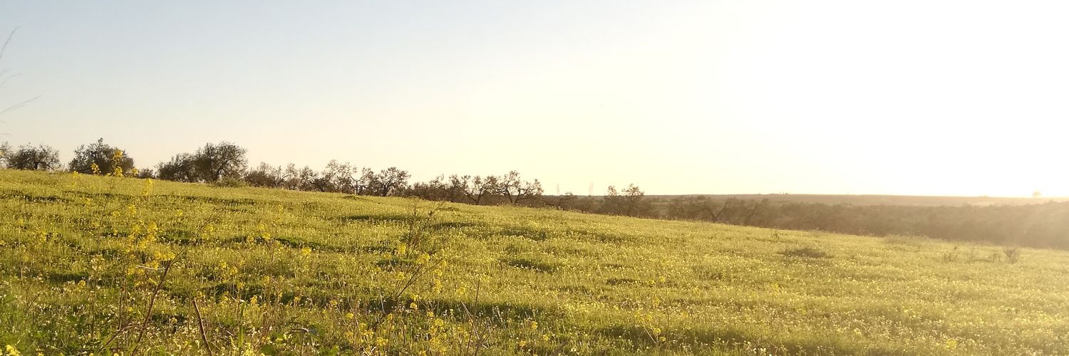 anamm79's profile banner image