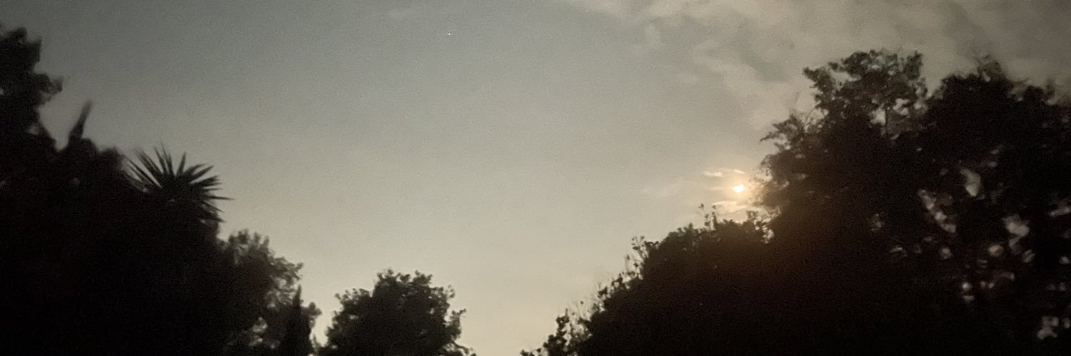 Luisa Cuéllar banner