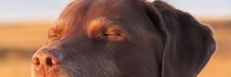 n0eL1405's profile banner image