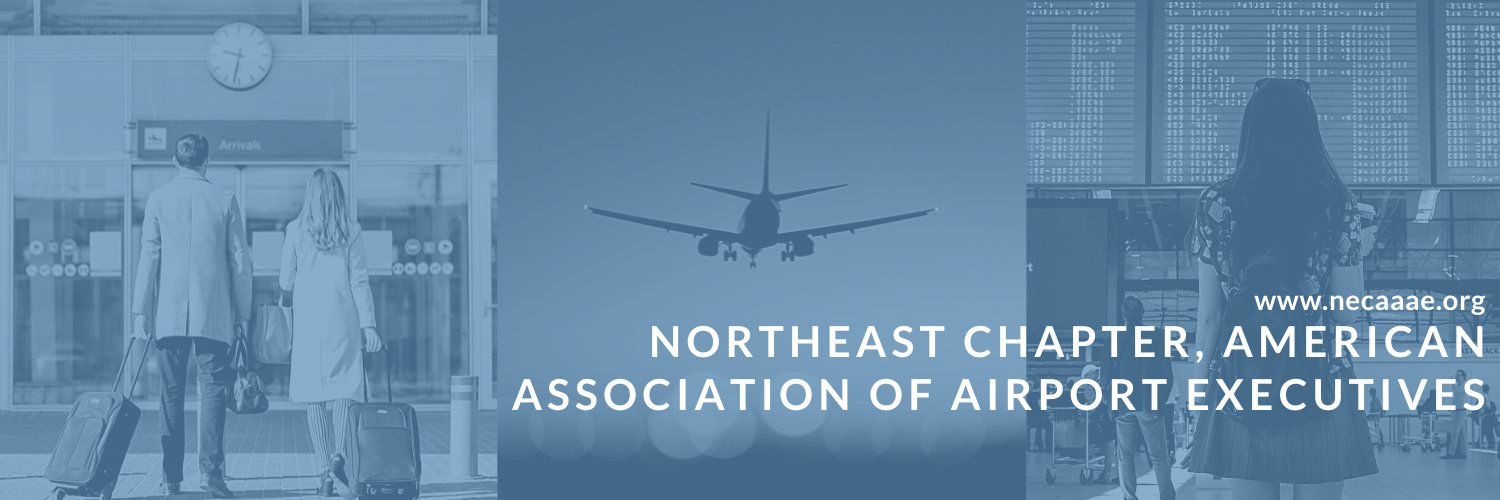 NEC/AAAE banner