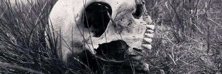 el_vegestorio's profile banner image