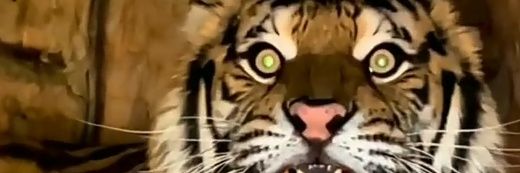rogerrliima's profile banner image