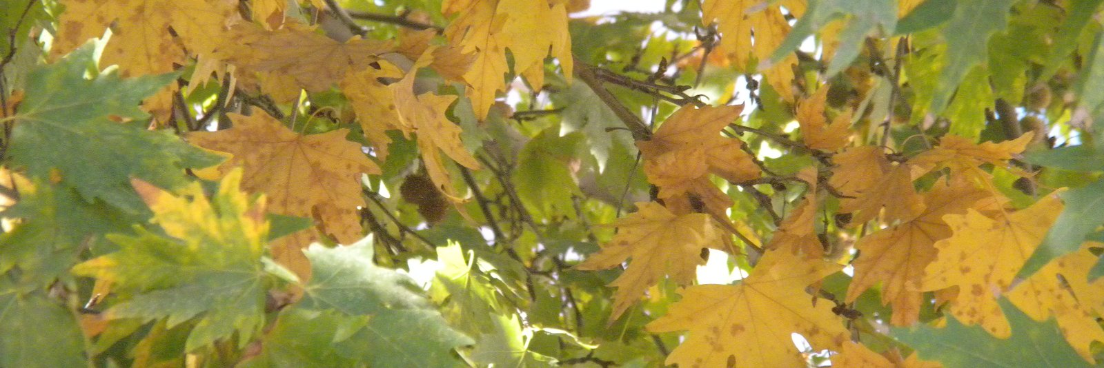 45bezik's profile banner image