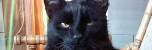 M.S 👍🎸🔦🍺🇨🇿 banner