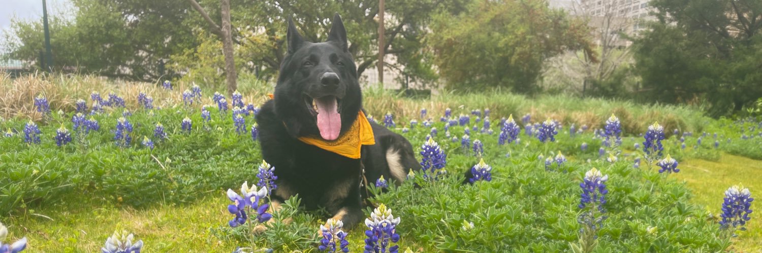 Hannah Dellinger banner