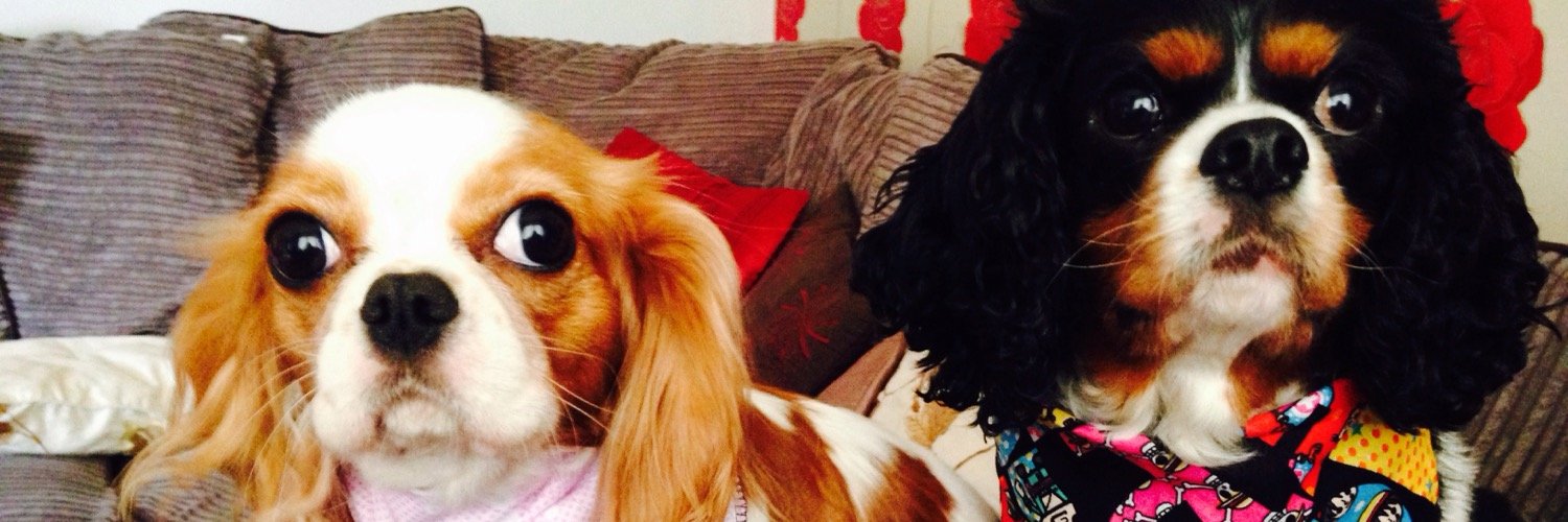 AndMaisy's profile banner image