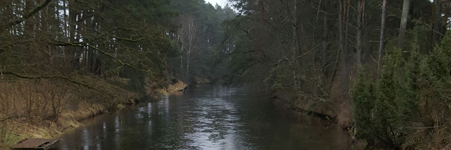DerLKO's profile banner image