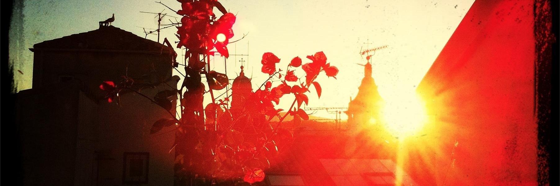 Dosha00's profile banner image