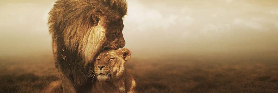prashantp4567's profile banner image