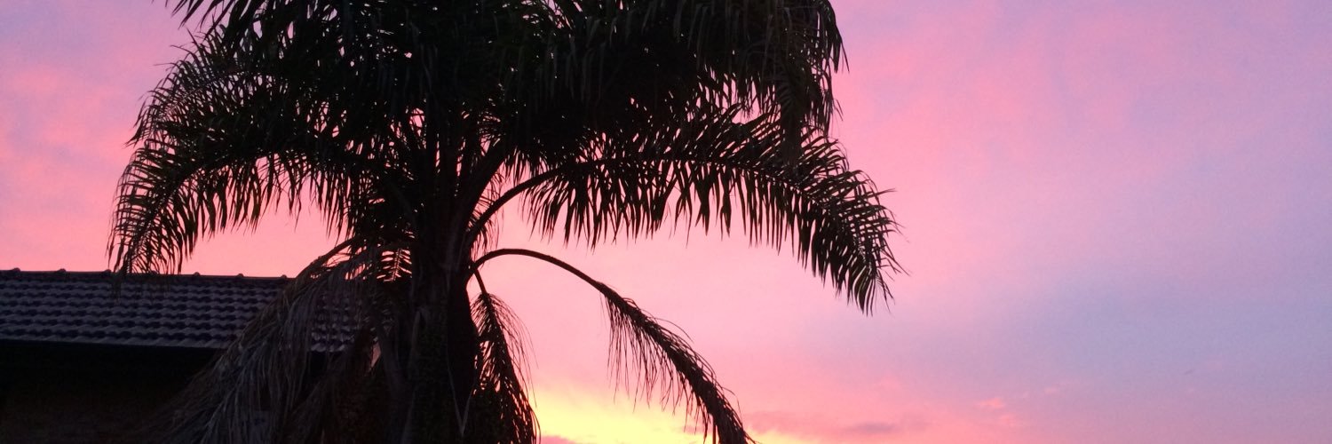 sofihermida's profile banner image