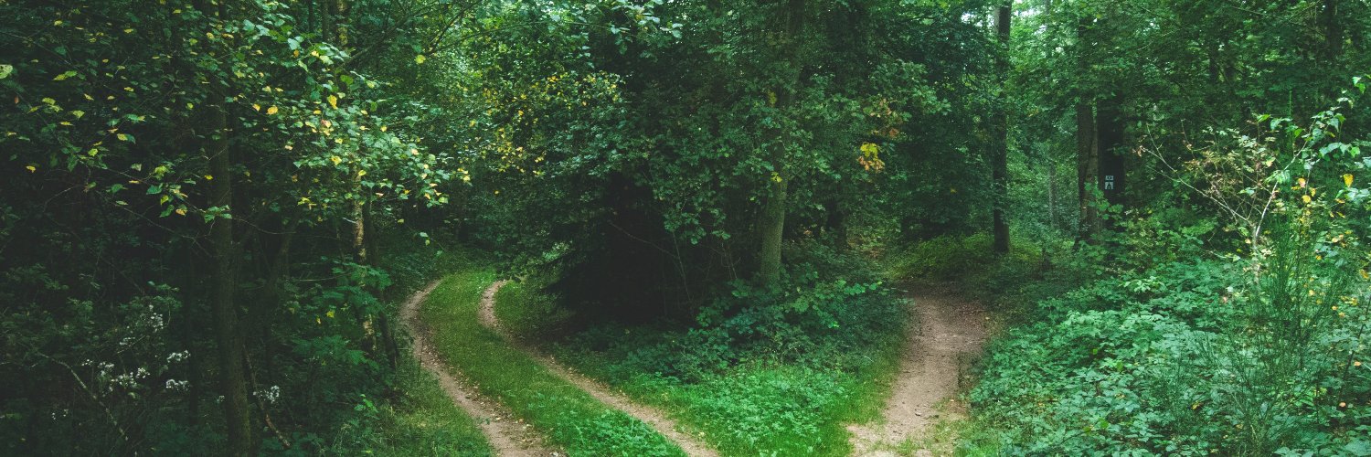 debrabarry95's profile banner image