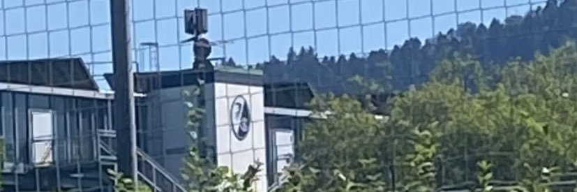 Sandra Roloff 📯🤍❤️ banner