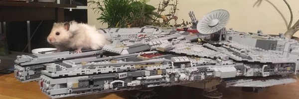 Shuping_Ruan Profile Banner