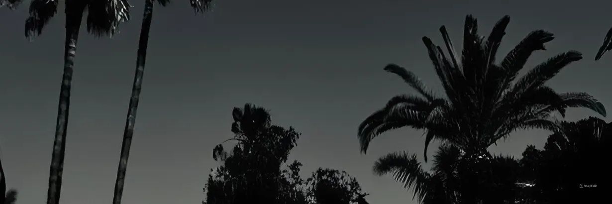 SAN banner
