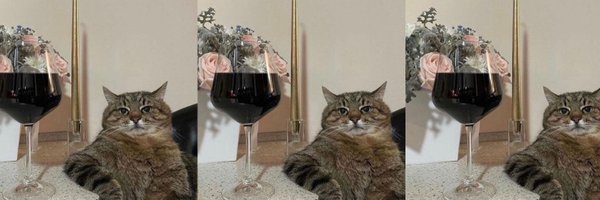 brose_5 Profile Banner