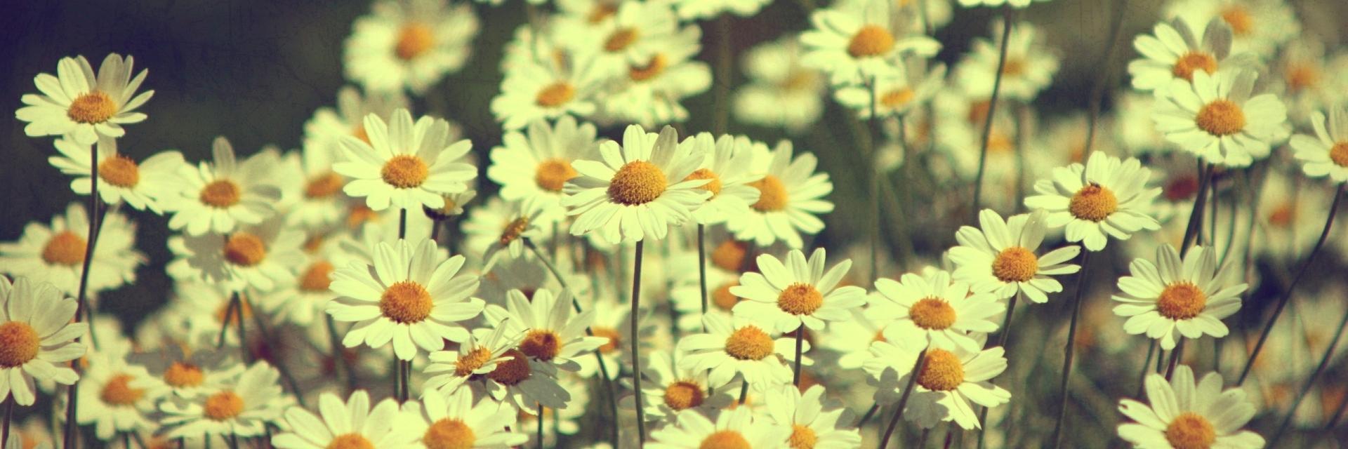 Emma_vitry's profile banner image