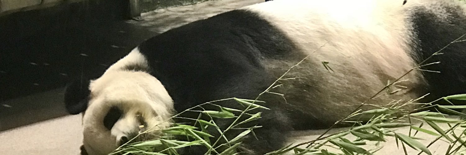 Nina banner
