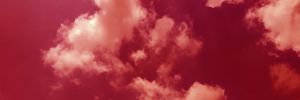 blue rabbit 🐰✨ banner